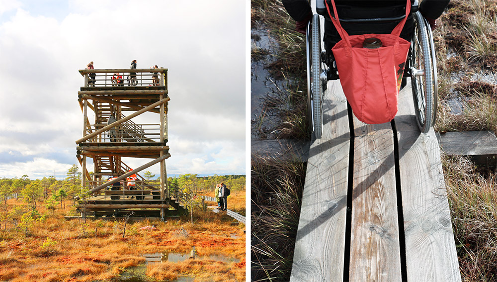 مسابقه بنای مشاهده مناظر (observation tower) پارک ملی کمیری: