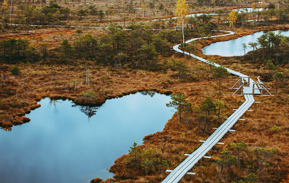 مسابقه بنای مشاهده مناظر (observation tower) پارک ملی کمیری: