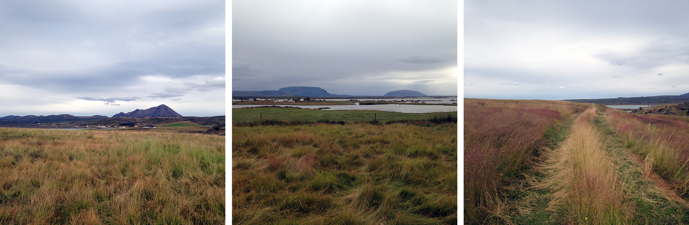 مسابقه معماری اقامتگاه های شفق شمالی ایسلند