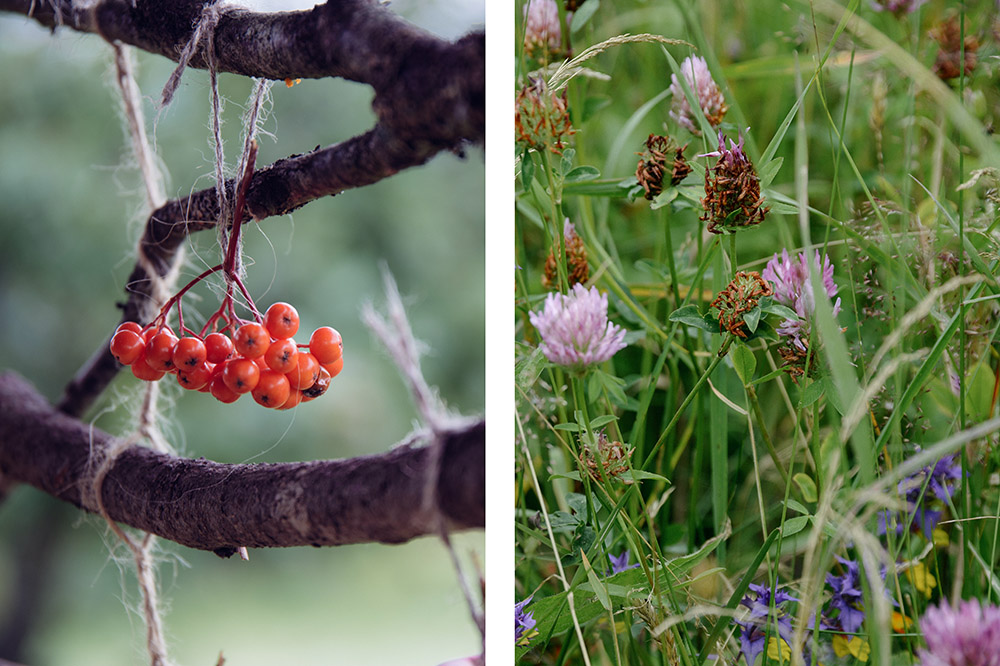 مسابقه کابین های جنگلی مدیتیشن بی صدا