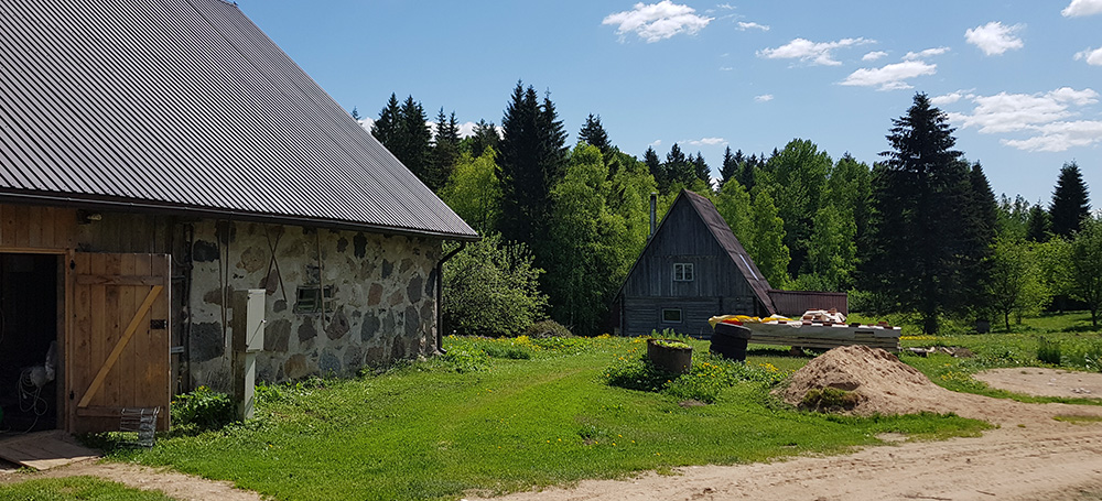 مسابقه کابین های جنگلی مدیتیشن بی صدا